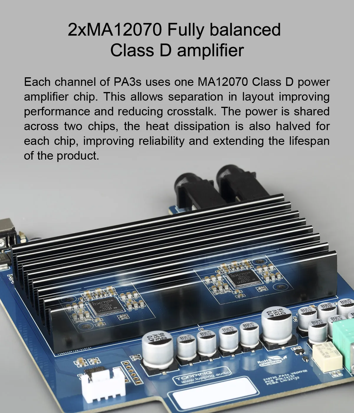 PA3s - - Topping audio