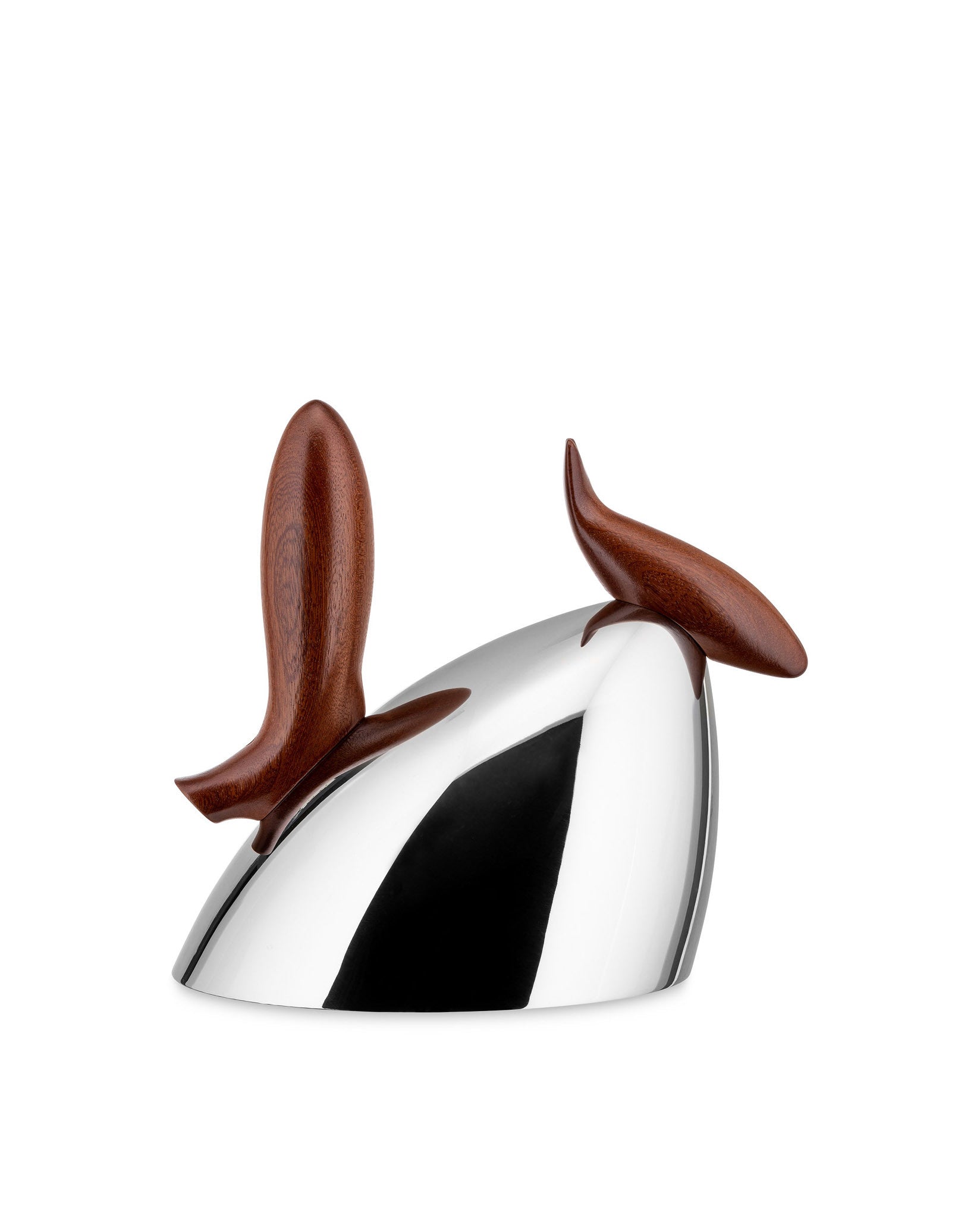 Pito Kettle In Stainless Steel Designed By Frank Gehry