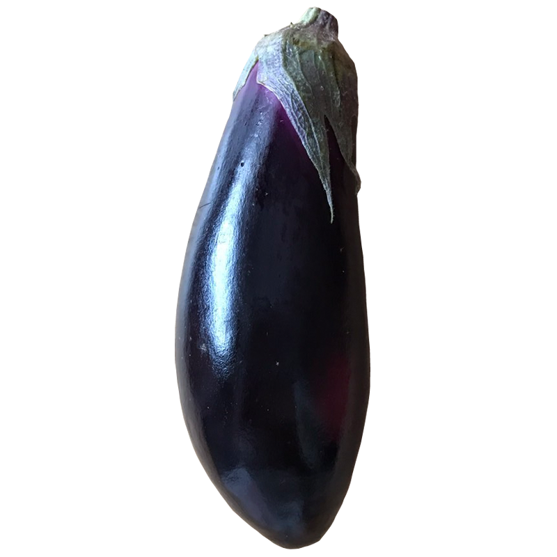 なすび(なす・ナス・茄子・eggplant)無料画像 – ベジタデジタ