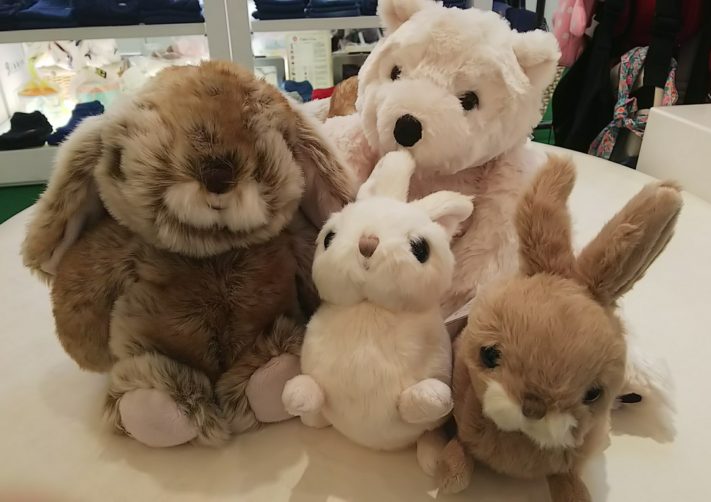 🐻Bukowski🐻 | ショップニュース | VIORO（ヴィオロ）