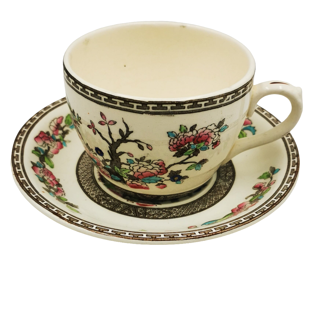 Bridgwood China Ye Olde Indian Tree 5800 Teacup and Saucer