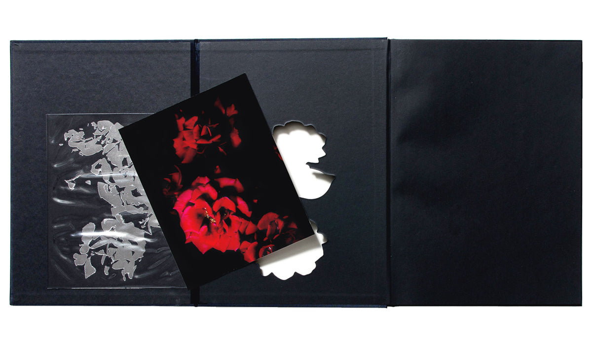 VISIONAIRE 40 ROSES DAVID SIMS