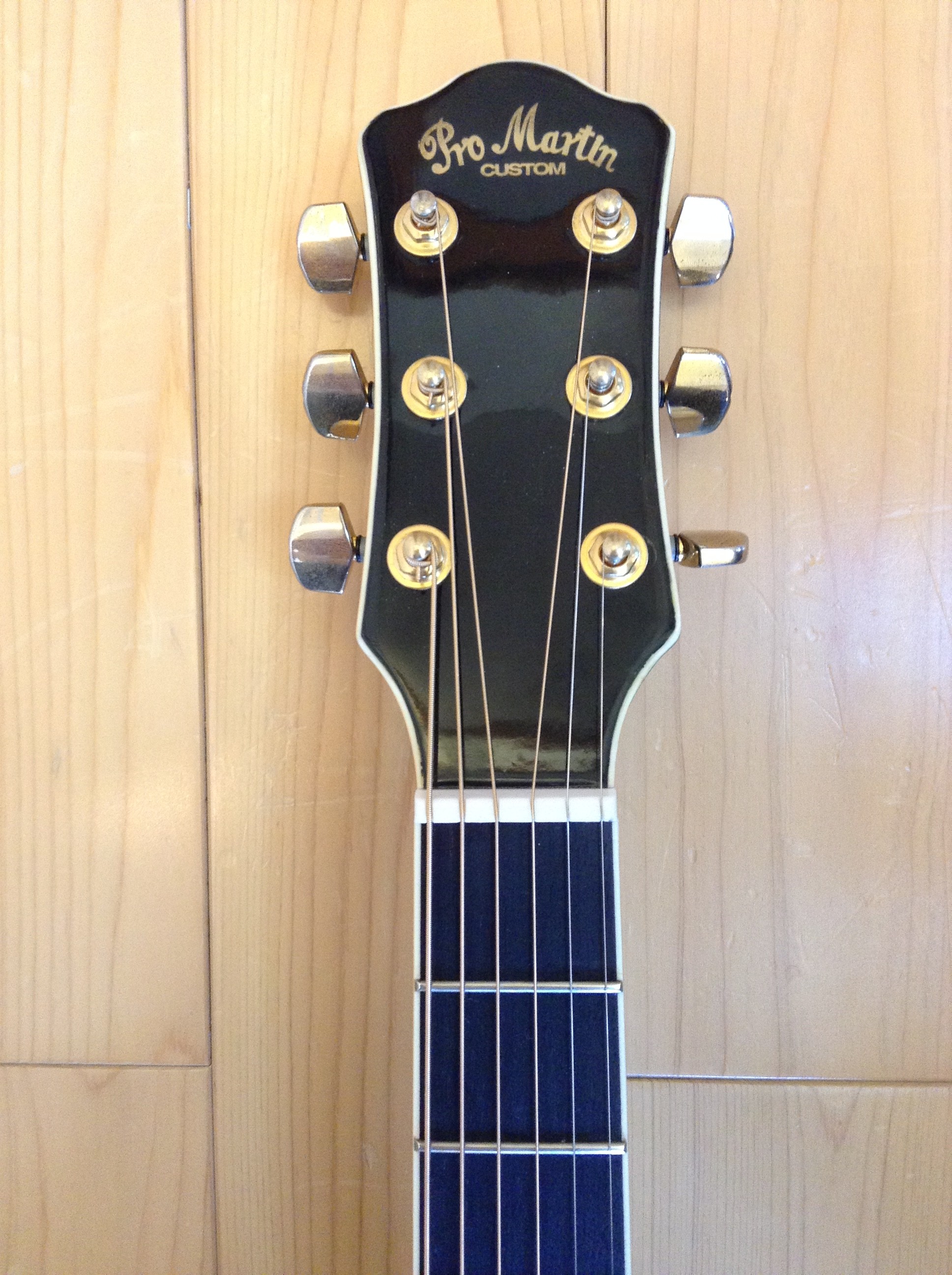 Pro Martin/プロマーチン EA-500W エレアコ 黒 – C.I.K カスタム