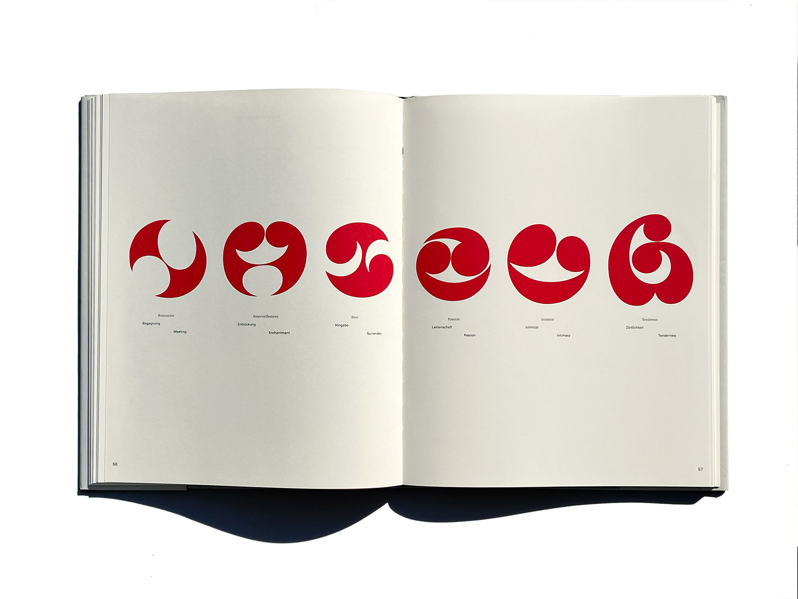 Adrian Frutiger Forms and Counterforms | PAGE SPREAD
