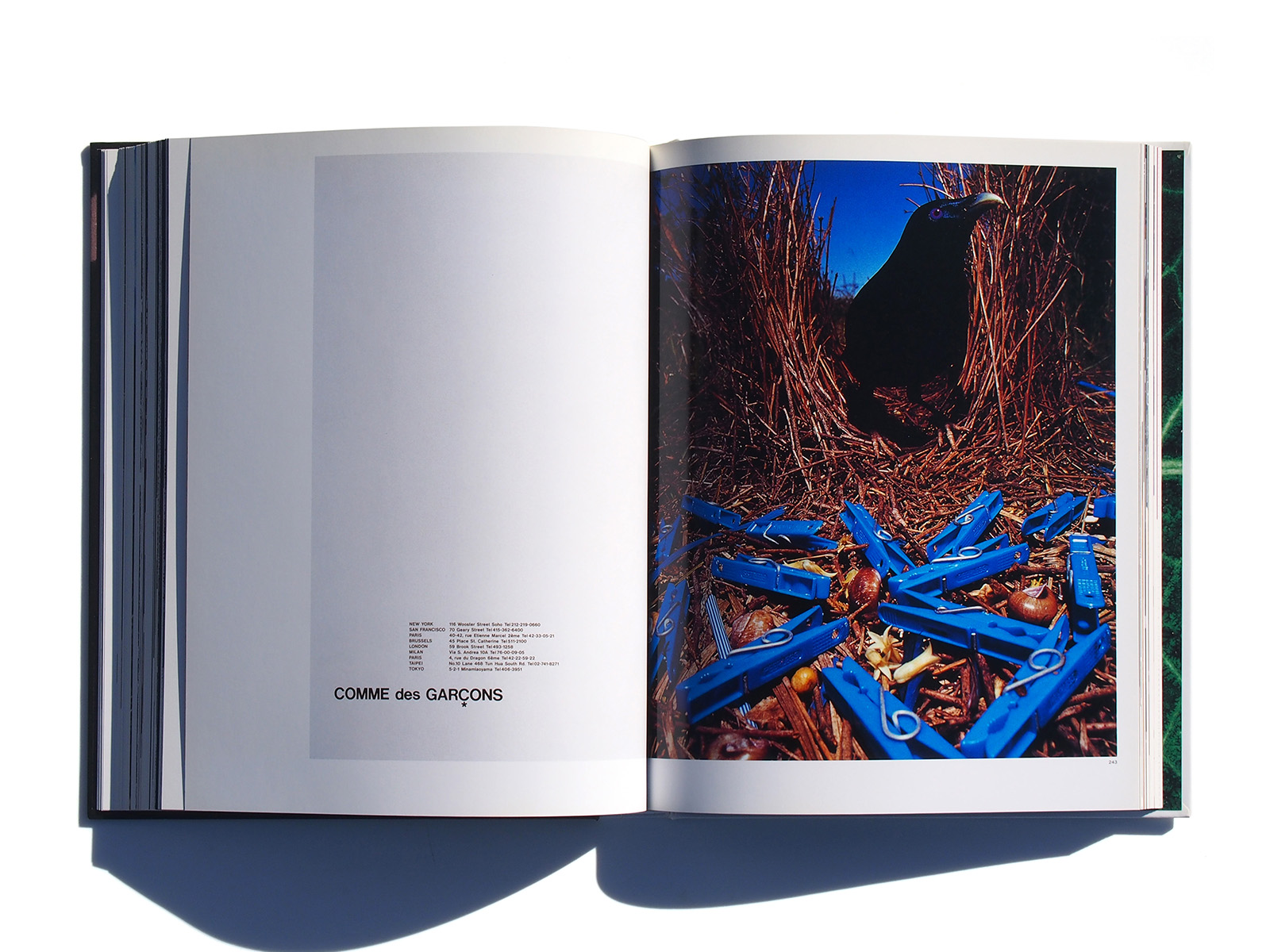 Inoue Tsuguya Graphic Works 1981-2007 | PAGE SPREAD