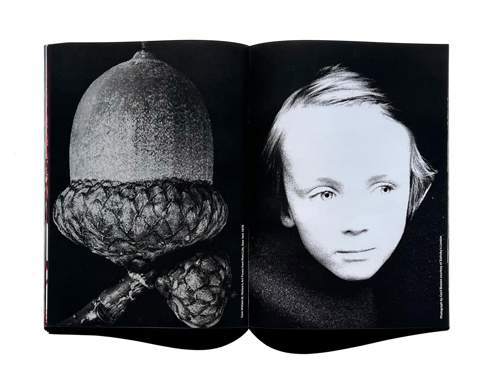 COMME des GARÇONS Six New again 01-02 | PAGE SPREAD