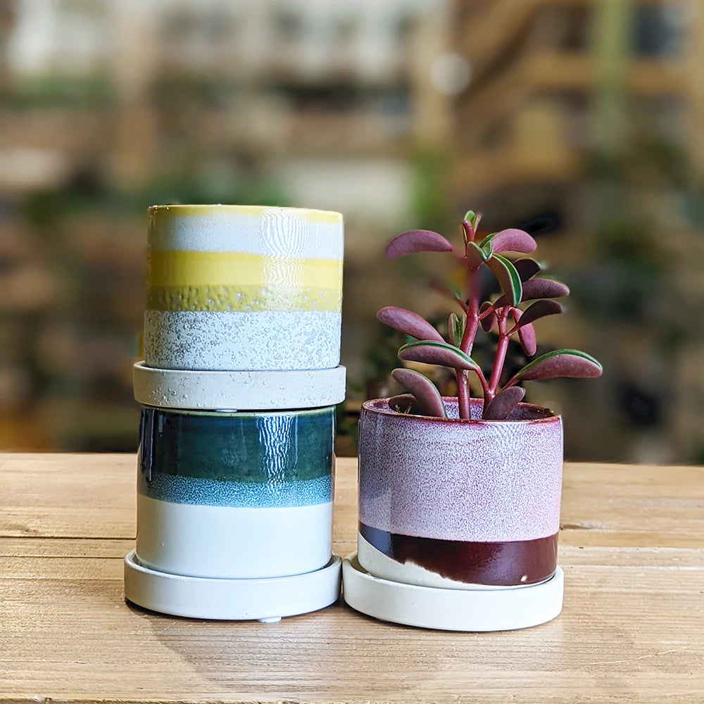 Minute Pot and Saucer – Planet Desert