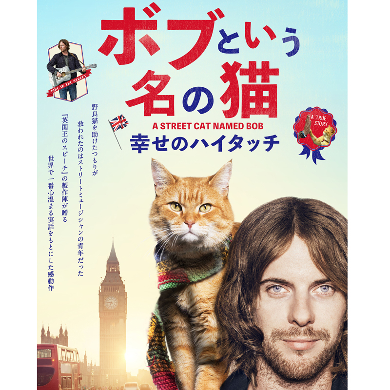 メイキング解禁】天才猫ボブの愛くるしい撮影風景満載！映画『ボブ