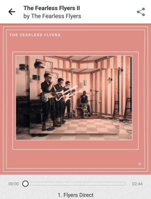 The Fearless Flyers Ⅱ / The Fearless Flyers: 我が家の小さな海