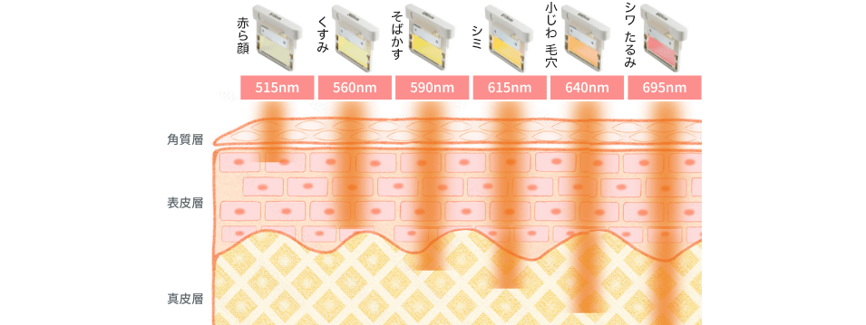 フォトフェイシャル（ステラM22） | ZX-CLINIC【公式】｜大阪梅田・北