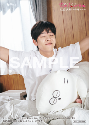チェ・ジョンヒョプ×Eye Love You フォトブック L♡VE～テオのいる日