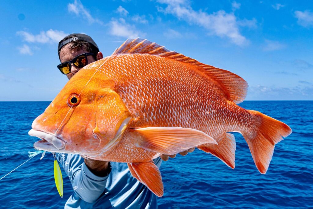 FOKEETO IKARI - ZENAQ(ゼナック) | オフィシャルサイト