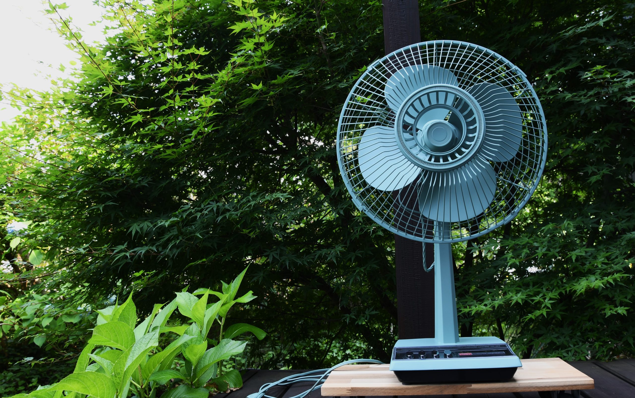 50年以上前のビンテージ扇風機がおしゃれに復活【昭和レトロ