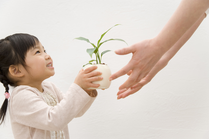 九星術/気学 | 東 洋 書 店