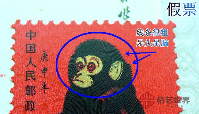 识别T46猴票真假（下）,图片,价格,收藏