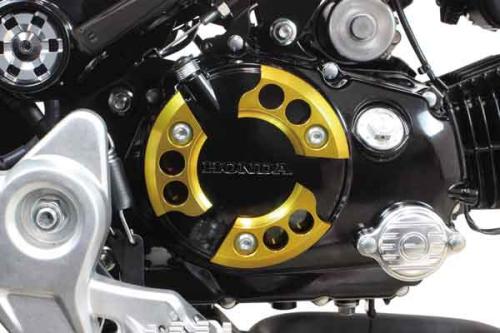 SPECIAL PARTS TAKEGAWA / R.クランクケースプロテクター(ゴールド)