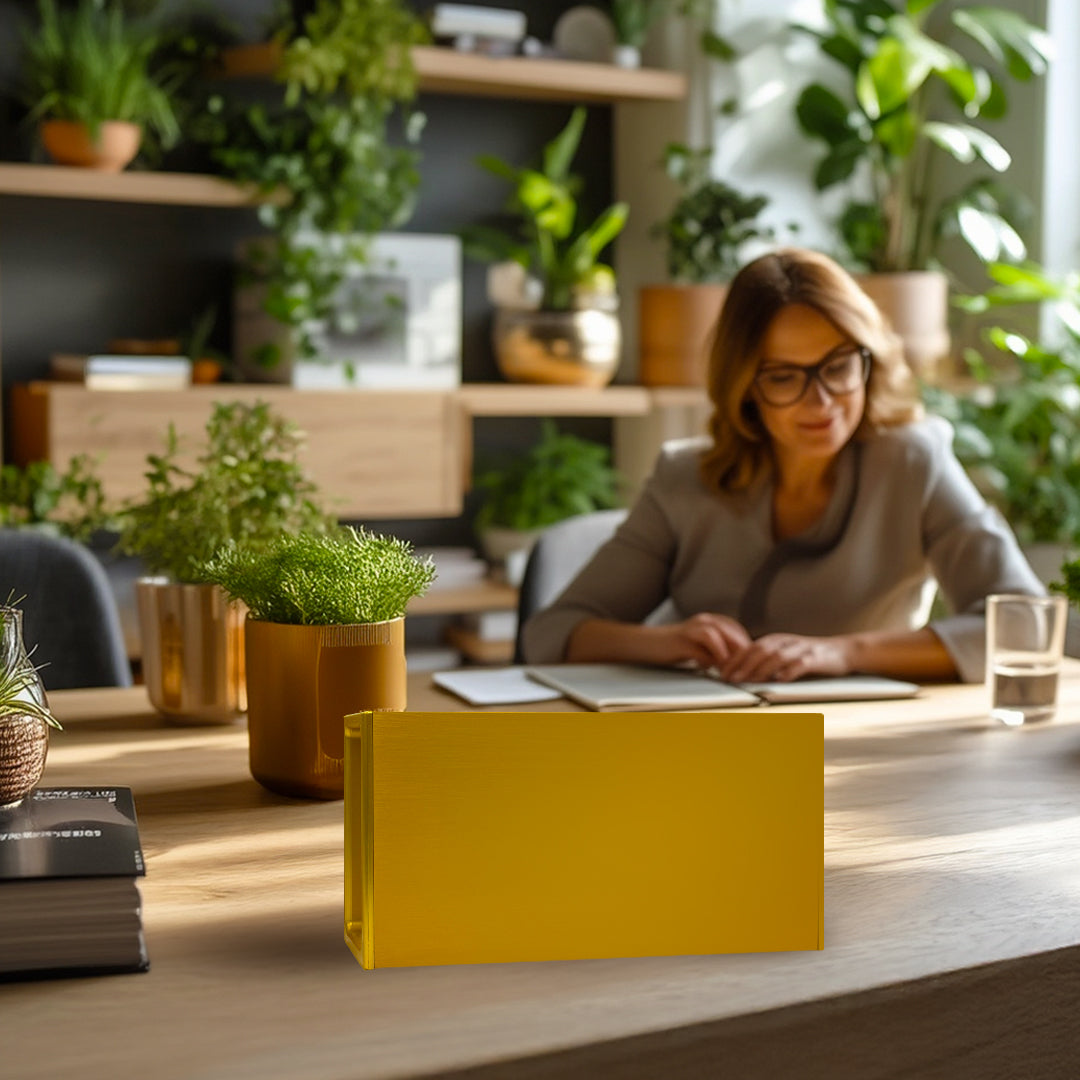 BioHealer ALPHA – Tesla BioHealing