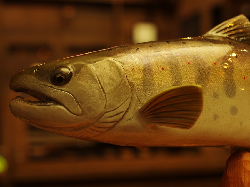 the naturalist riverside （ザ・ナチュラリスト リバーサイド