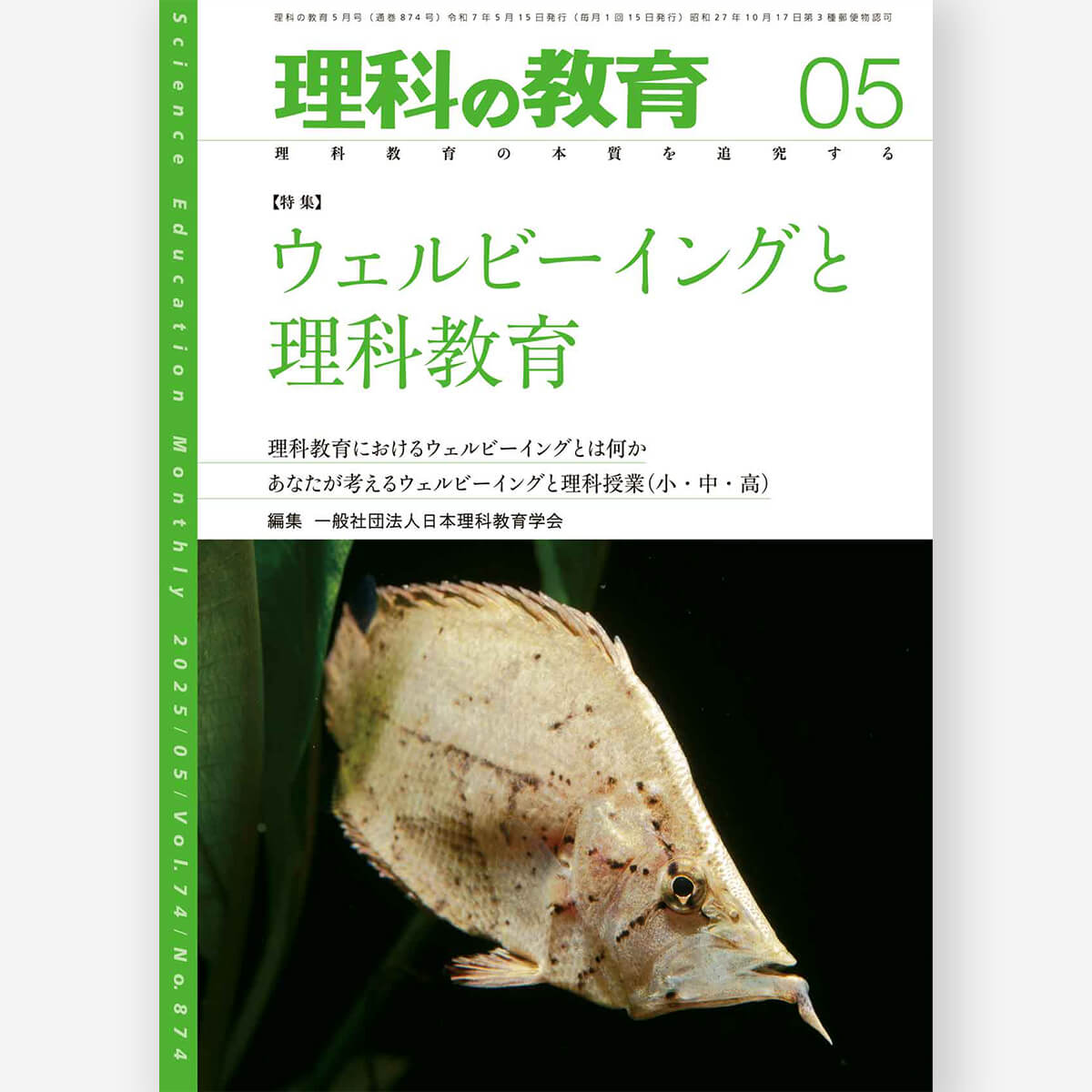 93132505_1.jpg?v=1745198368