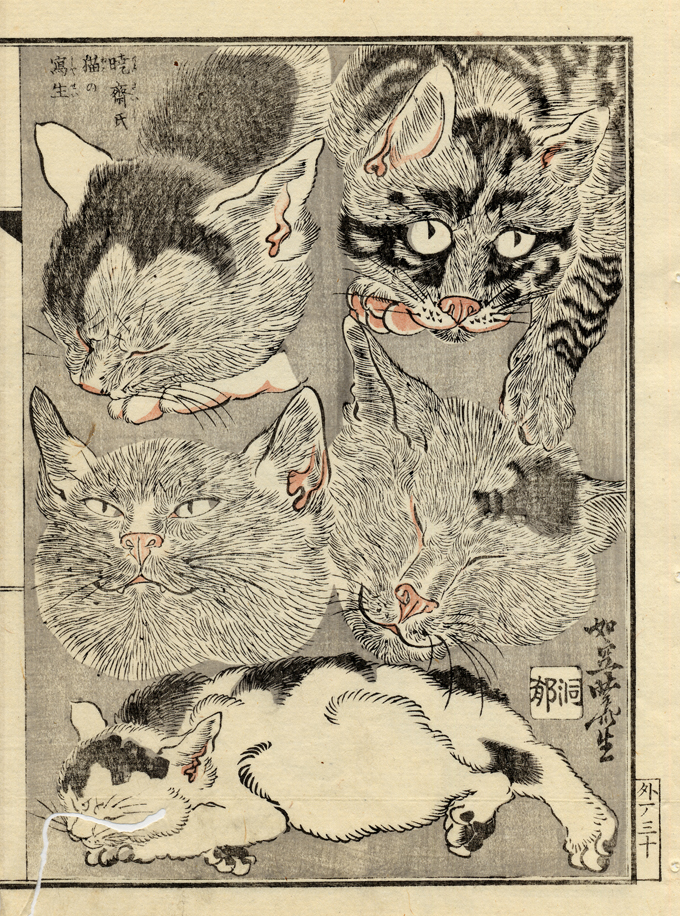 河鍋暁斎 ―躍動する絵本 | 太田記念美術館 Ota Memorial Museum of Art