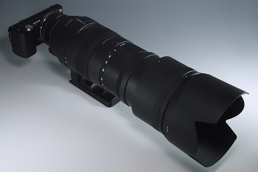 NEX-5 ＋ SIGMA APO 50-500mm F4.5-6.3 DG OS HSM レビュー その2