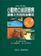 小動物医学 鑑別診断と治療 第3版 小動物医学 鑑別診断と治療 第3版