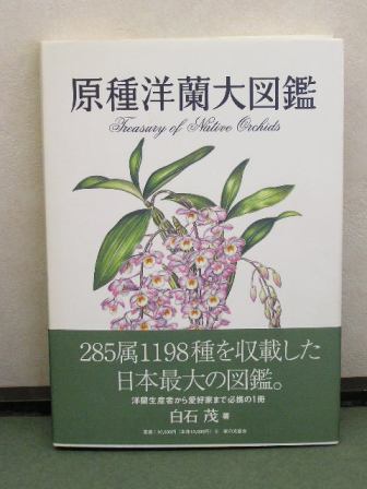 原種カトレヤ全書 オーキッドバイブル 1 原種カトレヤ全書 オーキッド