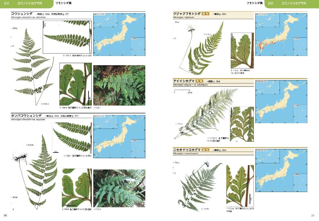 シダ植物図鑑の決定版大図鑑『日本産シダ植物標準図鑑Ⅰ・Ⅱ』の2冊と