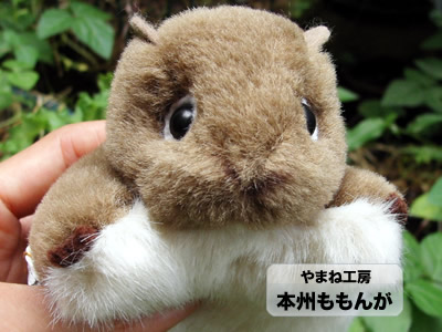 ももんがもどき