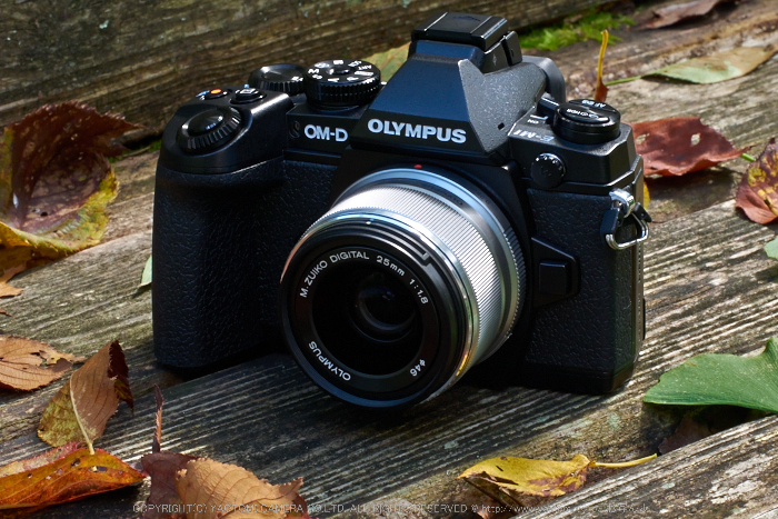 お写ん歩: OLYMPUS M.ZUIKO DIGITAL 25mm F1.8アーカイブ