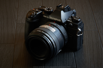 お写ん歩: OLYMPUS ZUIKO DIGITAL ED 50mm F2.0 Macroアーカイブ