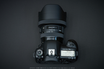 シグマ SIGMA 12-24mm F4 DG HSM Art ／ 京都 粟生光明寺 秋の始まり