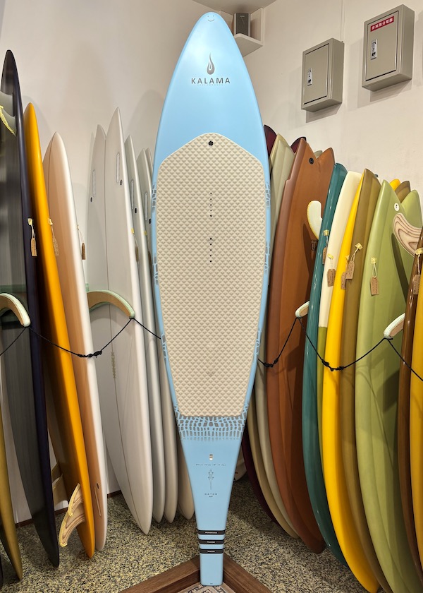 8.4 GATOR AP大 kalama performance|沖縄サーフィンショップ「YES SURF」