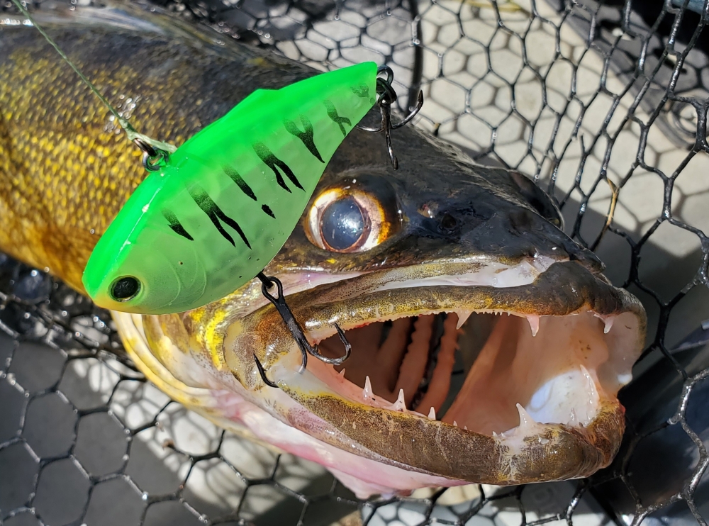 3DR-X VIBE｜3DR-X｜YO-ZURI｜PRODUCTS｜YO-ZURI