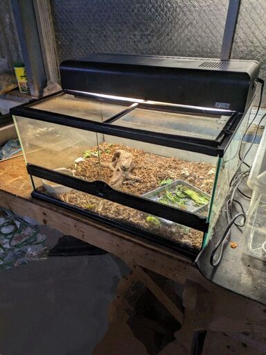 ASFUR / エキゾテラ GEX EXOTERRA グラステラリウム 4530 PT2603