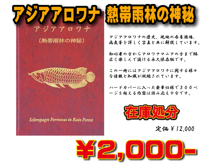 アジアアロワナ熱帯雨林の神秘特価販売【アジアアロワナ専門店