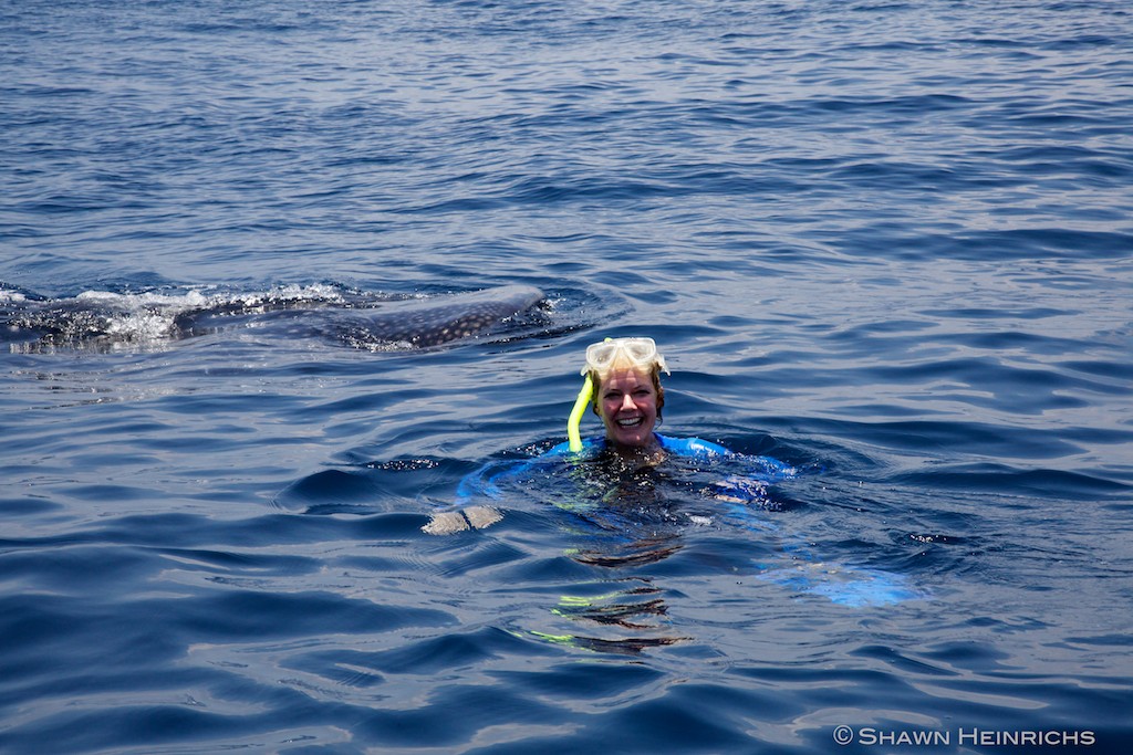 JASA-Blue Sphere Media-Wetpixel Mexico Whale Shark Aggregation