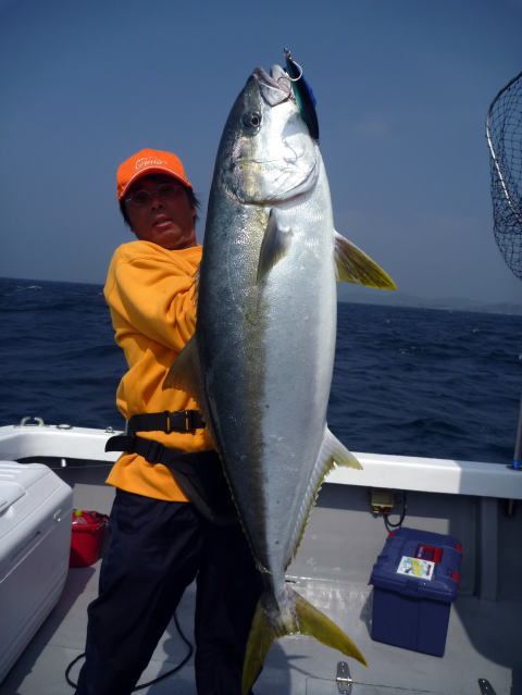 カーペンター BLC84／25 R－PM SC ブルーチェイサー