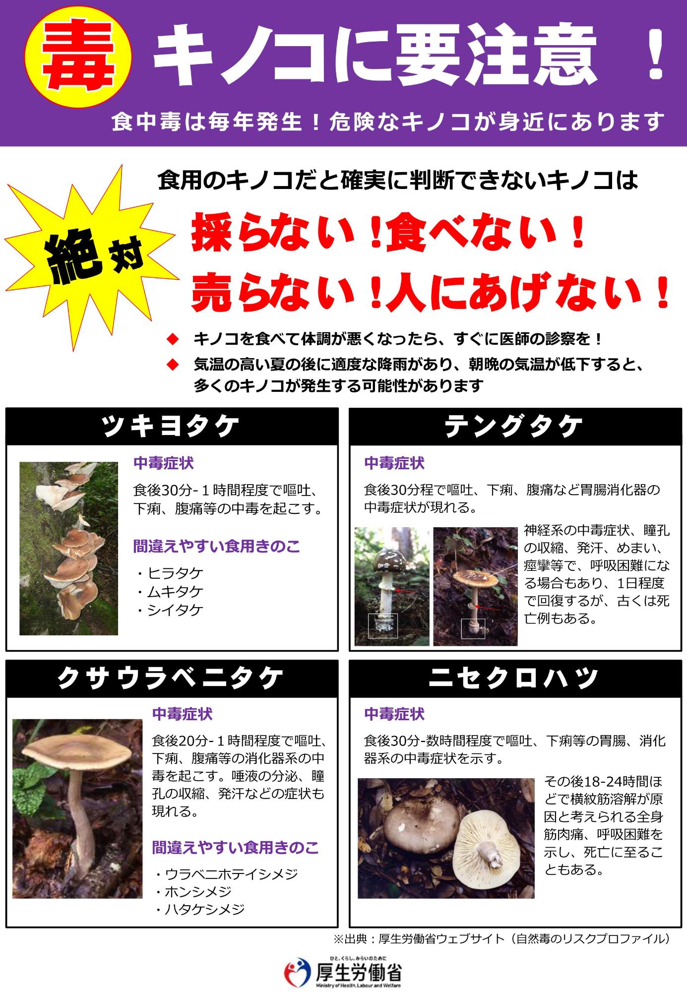 毒キノコによる食中毒の防止について／伊豆市 公式ポータルサイト