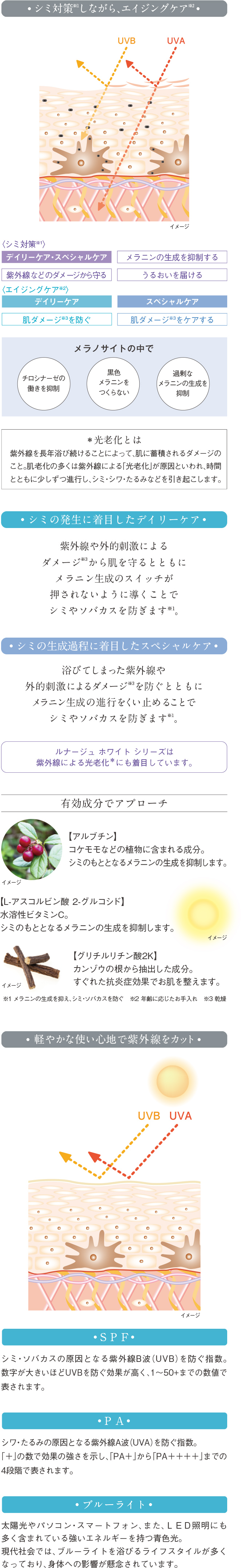ルナージュホワイト アーカイブ - サロン ド フルベール 商品情報