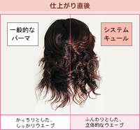 ヘアケア システムキュール