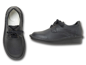 取扱い商品一覧 ｜ 健康・環境・介護予防｜靴内環境歩行改善協同組合えこる