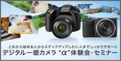 SONYデジタル一眼カメラ α65 ソニーストアモデル