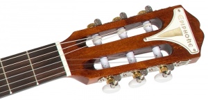 300px-PRO-1classicHeadstock.jpg