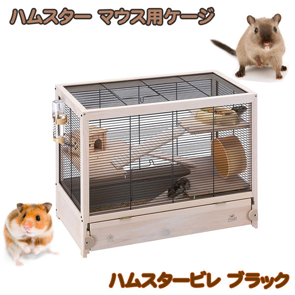 ハムスター2匹すぐ迎えられるセット ハムスター2匹すぐ迎えられるセット