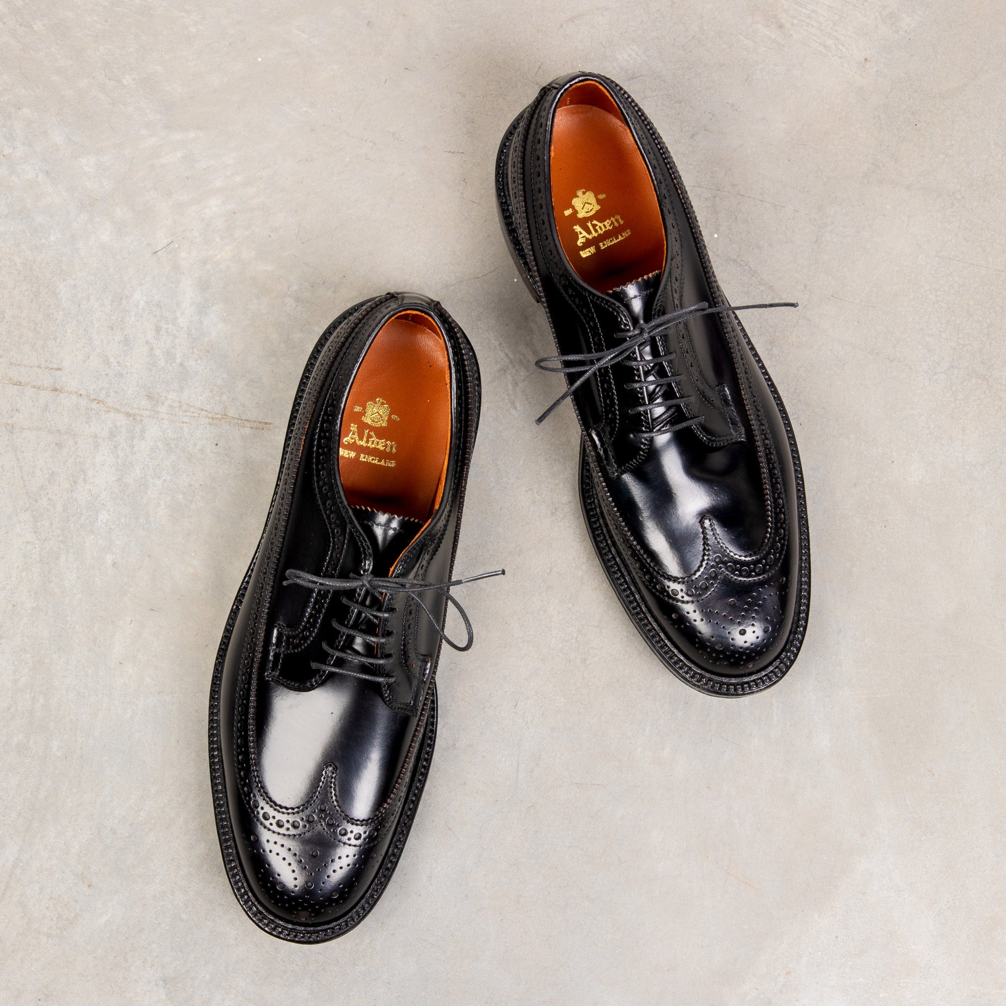 Alden Black Cordovan Longwing – Frans Boone Store