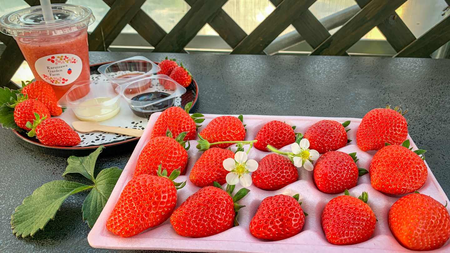 12月から6月は冬春いちご狩り｜軽井沢ガーデンファーム