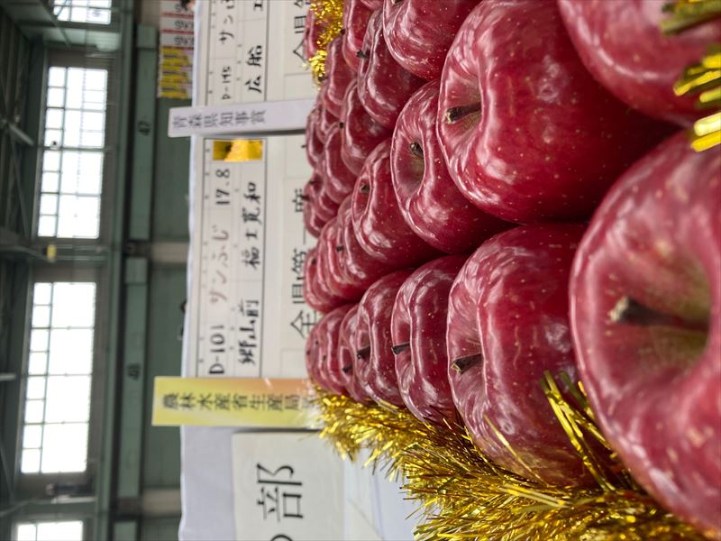 キラキラりんご達✧♡｜原田種苗｜りんご苗木、果樹苗木販売