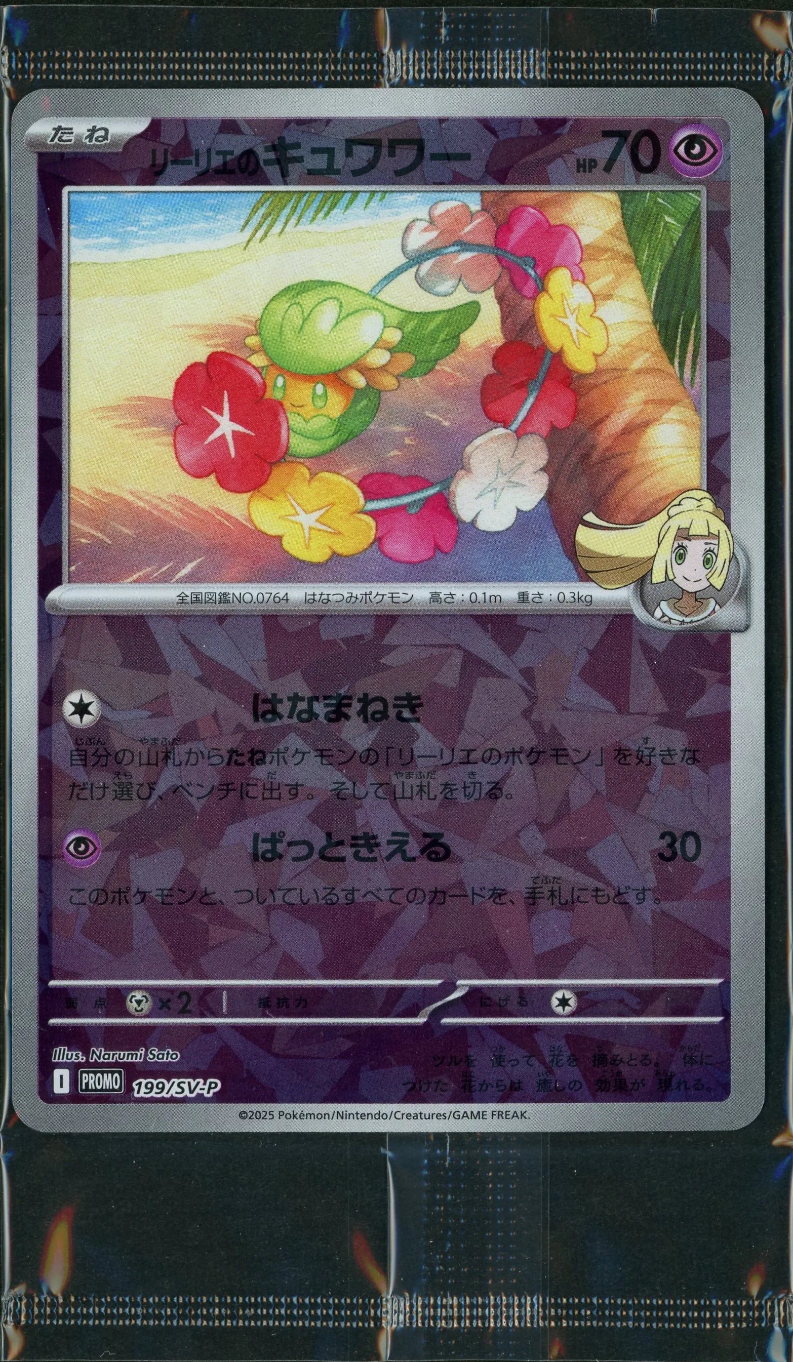 未開封プロモ】リーリエのキュワワー 199/SV-P – 晴れる屋2