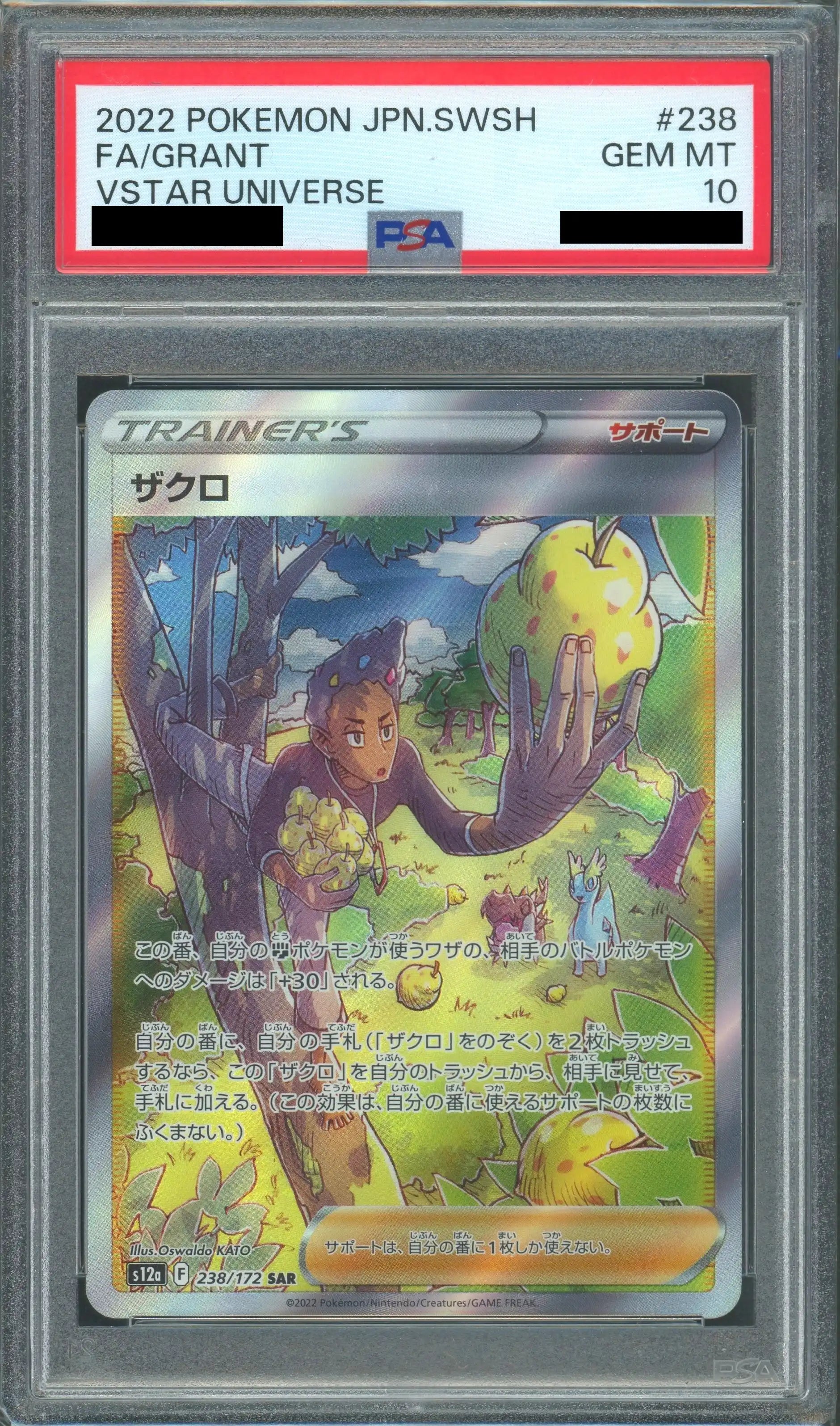 PSA10】ザクロ(SAR){サポート}〈238/172〉[S12a] – 晴れる屋2